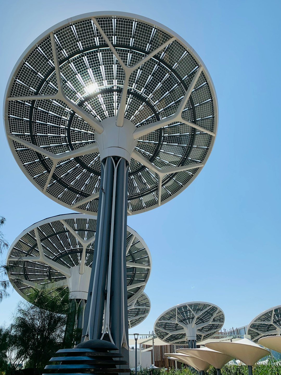 solar-panel-trees-against-a-clear-blue-sky-yqef-zcsqnk